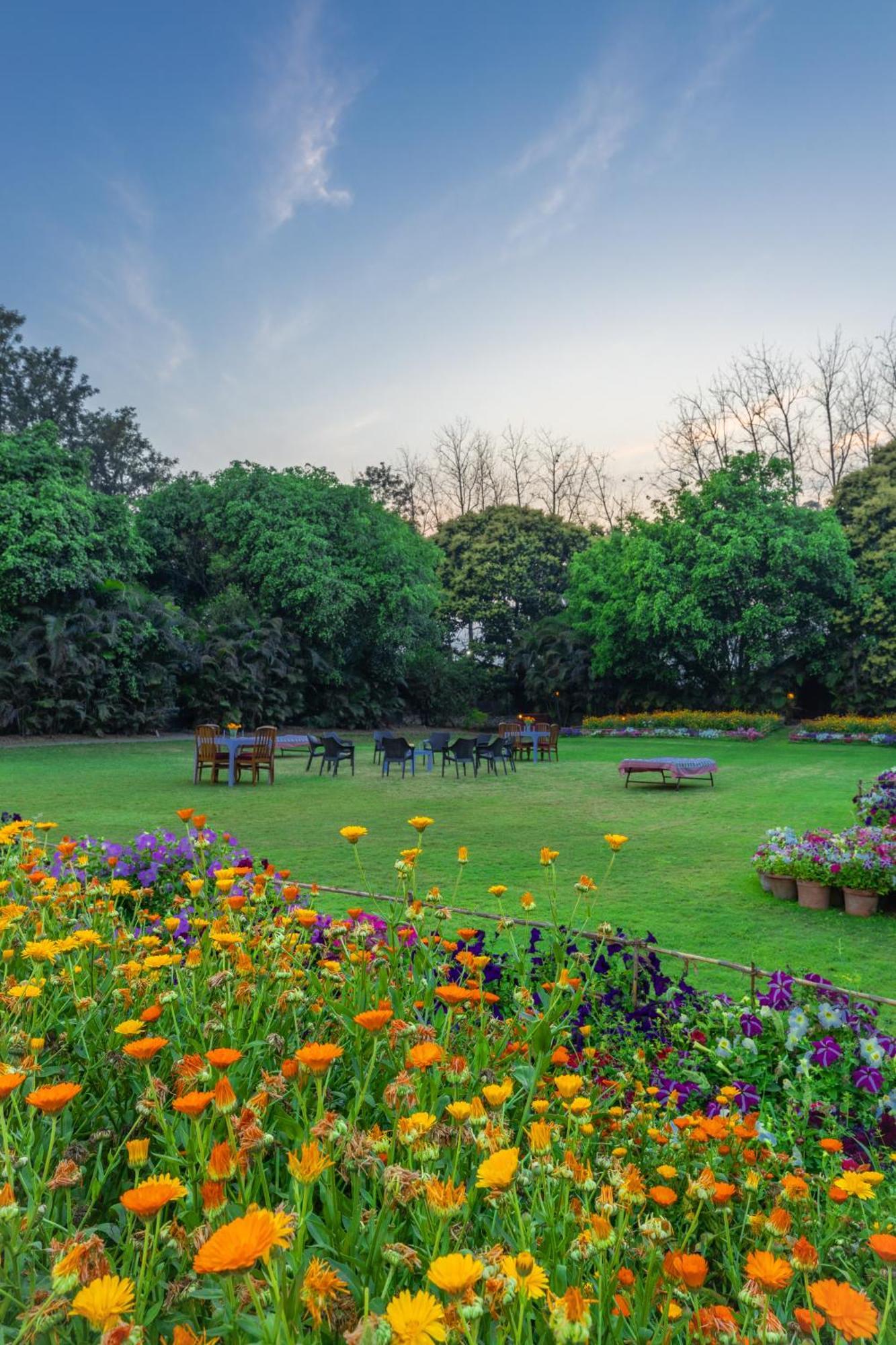 Citrus County, Hoshiarpur, Ama Stays & Trails Exterior foto
