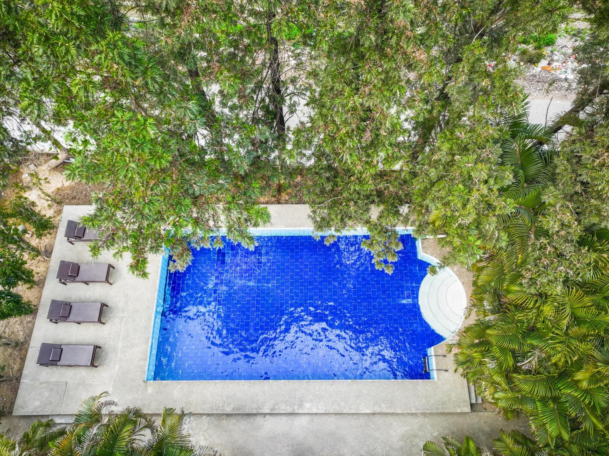 Citrus County, Hoshiarpur, Ama Stays & Trails Exterior foto